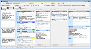 Software - Qualitätsmanagement - Pflegeplanung Eingabemaske